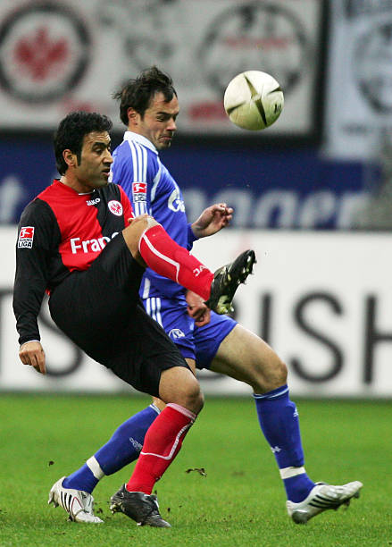 本赛季浙江 本赛季浙江