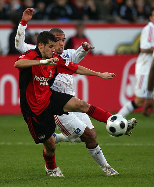 例如山东泰 例如山东泰